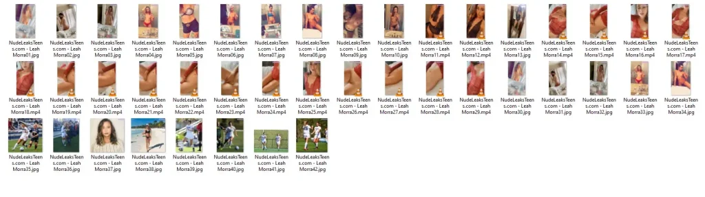 preview.jpg