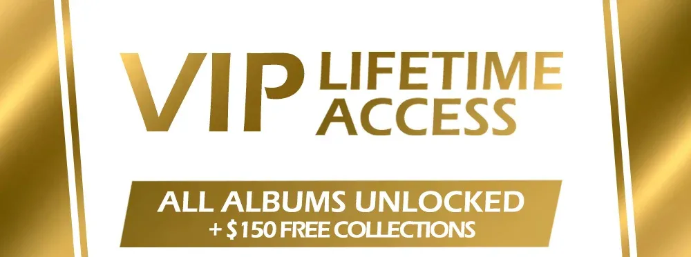 VIP - Lifetime Access (Best choice)